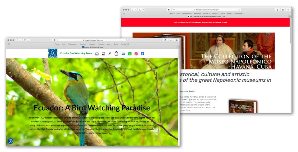 website examples
